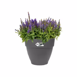 elho 8711904333195 jardinière Noir Plastique