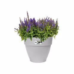 elho 8711904333324 jardinière Gris Plastique