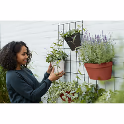 elho 8711904334444 accessoire de plantation