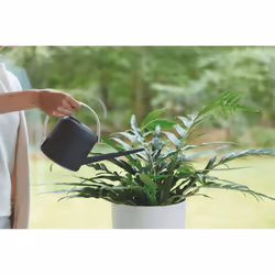 elho 8711904335229 Arrosoir 1,7 L Noir - Vue supplémentaire 8