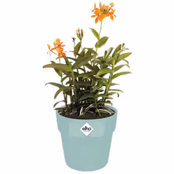 Elho Bac à fleurs rond jardinière menthe 29 L 18x17 cm