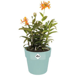 Elho Bac à fleurs rond jardinière menthe 29 L 18x17 cm