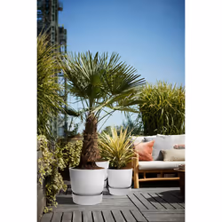 elho 8711904345839 jardinière Gris Plastique - Vue supplémentaire 7