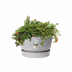 elho 8711904345877 jardinière Gris Plastique