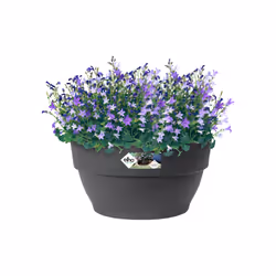 elho 8711904346102 jardinière Noir Plastique