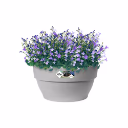 elho 8711904346164 jardinière Gris Plastique