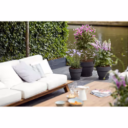 elho 8711904346379 jardinière Noir Plastique - Vue supplémentaire 6