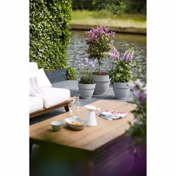 elho 8711904346409 jardinière Gris Plastique - Vue supplémentaire 10