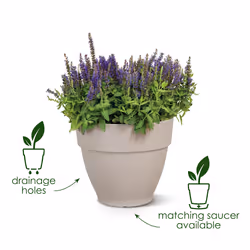 elho 8711904346409 jardinière Gris Plastique - Vue supplémentaire 12