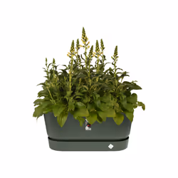 elho 8711904346904 pot à fleurs Extérieure Plastique Vert - Vue supplémentaire 5