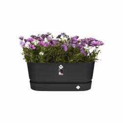 elho 8711904346935 pot à fleurs Extérieure Plastique Noir