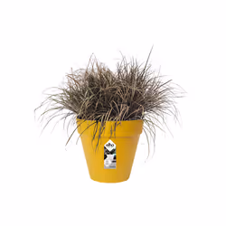 elho 8711904348533 jardinière Jaune Plastique