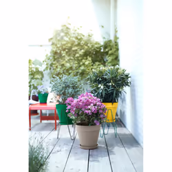 elho 8711904348533 jardinière Jaune Plastique - Vue supplémentaire 6