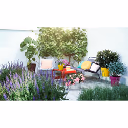 elho 8711904348533 jardinière Jaune Plastique - Vue supplémentaire 7