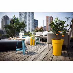 elho 8711904348625 jardinière Jaune Plastique - Vue supplémentaire 7