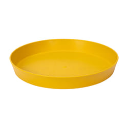 elho 8711904348717 accessoire de plantation Soucoupe
