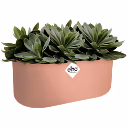 Ajoutez une touche de couleur à votre extérieur ! Esthétique, robuste et recyclable : Cette jardinière au design sobre et eff ...