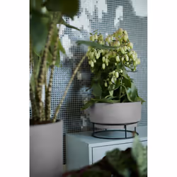 elho 8711904352233 jardinière Gris Métal, Plastique - Vue supplémentaire 7