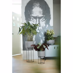 elho 8711904352233 jardinière Gris Métal, Plastique - Vue supplémentaire 8