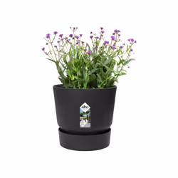 elho 8711904356842 jardinière Noir Plastique