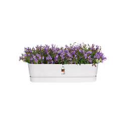 elho 8711904357672 pot à fleurs Extérieure Plastique Blanc - Vue supplémentaire 5