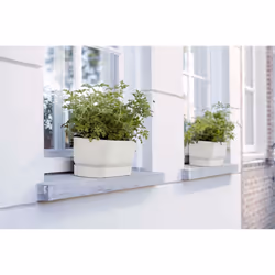 elho 8711904357672 pot à fleurs Extérieure Plastique Blanc - Vue supplémentaire 7