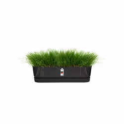 elho 8711904357702 pot à fleurs Extérieure Plastique Noir - Vue supplémentaire 4