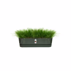 elho 8711904357733 pot à fleurs Extérieure Plastique Vert - Vue supplémentaire 4