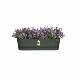 elho 8711904357733 pot à fleurs Extérieure Plastique Vert - Vue supplémentaire 5