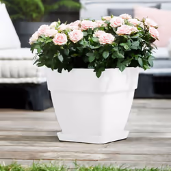Ajoutez une touche de couleur à votre extérieur ! Esthétique, robuste et recyclable : Cette jardinière au design sobre et eff ...