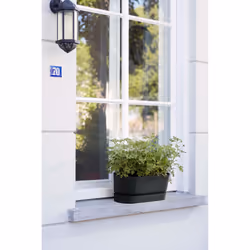 elho 8711904358358 pot à fleurs Extérieure Plastique Noir - Vue supplémentaire 10