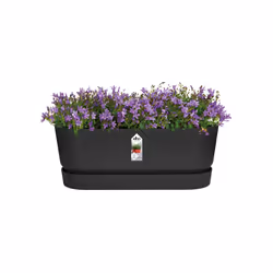 elho 8711904358358 pot à fleurs Extérieure Plastique Noir - Vue supplémentaire 4