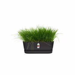 elho 8711904358358 pot à fleurs Extérieure Plastique Noir - Vue supplémentaire 5