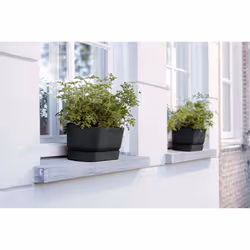 elho 8711904358358 pot à fleurs Extérieure Plastique Noir - Vue supplémentaire 7