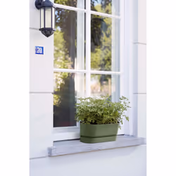 elho 8711904358389 pot à fleurs Extérieure Plastique Vert - Vue supplémentaire 10