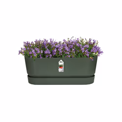 elho 8711904358389 pot à fleurs Extérieure Plastique Vert - Vue supplémentaire 4