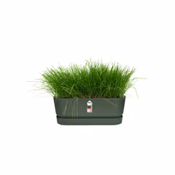 elho 8711904358389 pot à fleurs Extérieure Plastique Vert - Vue supplémentaire 5