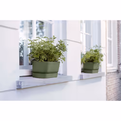 elho 8711904358389 pot à fleurs Extérieure Plastique Vert - Vue supplémentaire 7