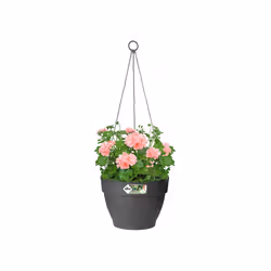 elho 8711904361280 jardinière Noir Plastique