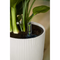 elho 8711904481247 jardinière Blanc Plastique - Vue supplémentaire 8
