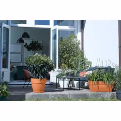 elho 8711904481612 accessoire de plantation Soucoupe