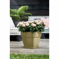 elho 8711904482411 accessoire de plantation Soucoupe
