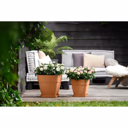 elho 8711904482459 accessoire de plantation Soucoupe