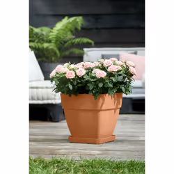 elho 8711904482459 accessoire de plantation Soucoupe
