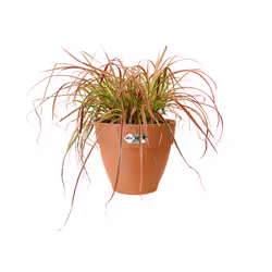 elho 8711904483135 jardinière Marron Plastique
