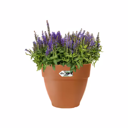 elho 8711904483135 jardinière Marron Plastique - Vue supplémentaire 4