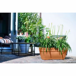 elho 8711904483210 pot à fleurs Extérieure Plastique Marron - Vue supplémentaire 7