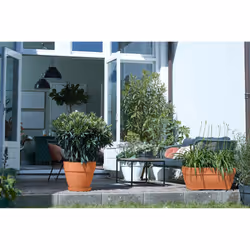 elho 8711904483210 pot à fleurs Extérieure Plastique Marron - Vue supplémentaire 8