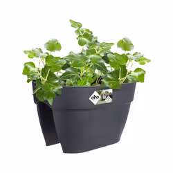 elho 8711904492823 pot à fleurs Extérieure Plastique Noir - Vue supplémentaire 4