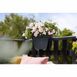 elho 8711904492823 pot à fleurs Extérieure Plastique Noir - Vue supplémentaire 8